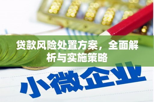 邵东贷款风险处置方案，全面解析与实施策略