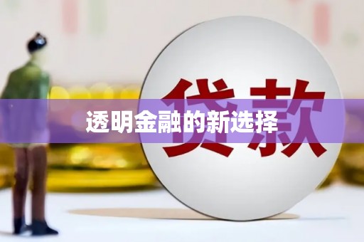 邵东透明金融的新选择