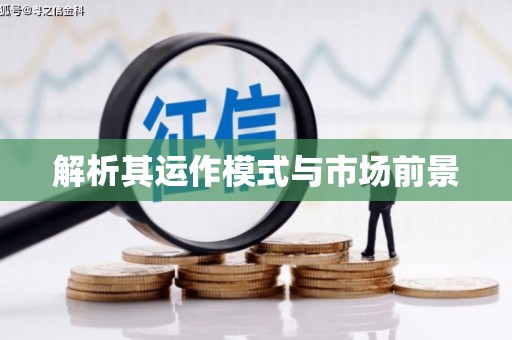 邵东解析其运作模式与市场前景