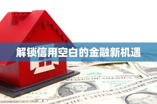 邵东解锁信用空白的金融新机遇