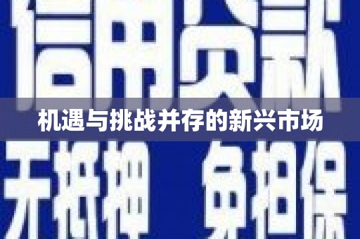 邵东机遇与挑战并存的新兴市场