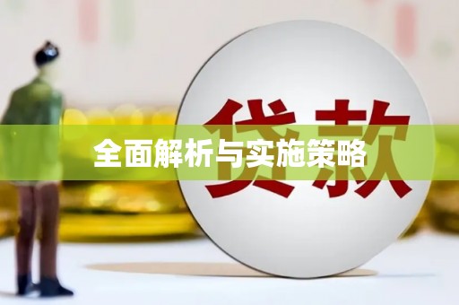 邵东全面解析与实施策略