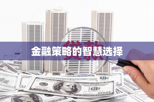 邵东金融策略的智慧选择