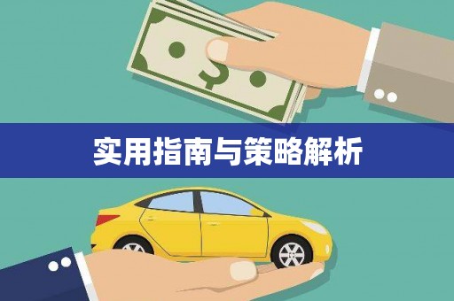 邵东实用指南与策略解析
