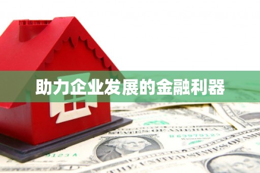 邵东助力企业发展的金融利器