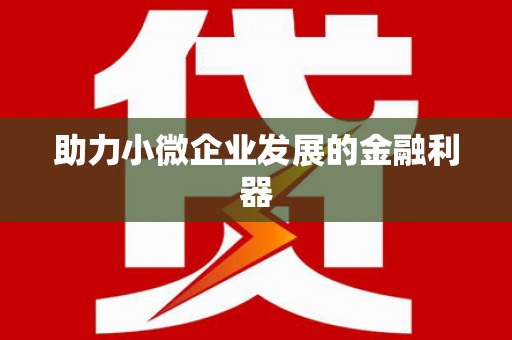 邵东助力小微企业发展的金融利器