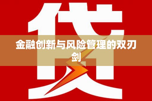 邵东金融创新与风险管理的双刃剑
