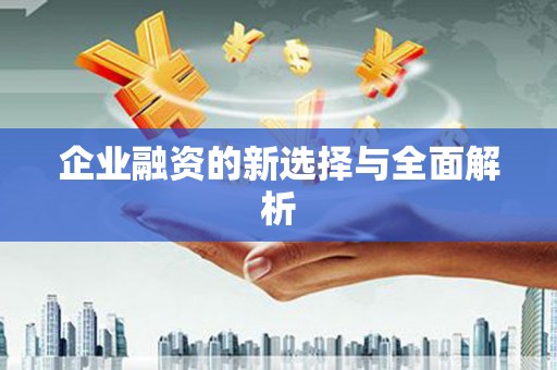 邵东企业融资的新选择与全面解析