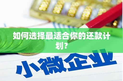 邵东如何选择最适合你的还款计划？