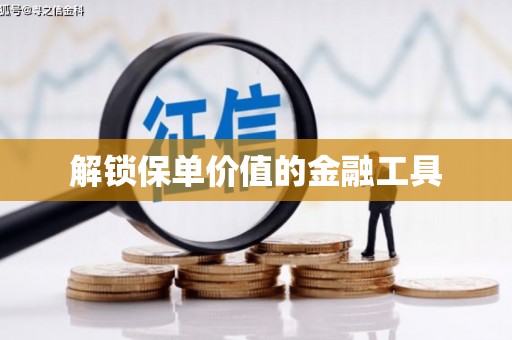 邵东解锁保单价值的金融工具