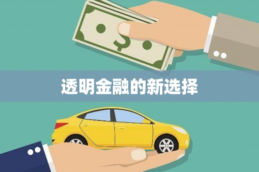 邵东透明金融的新选择