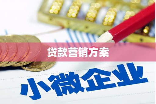 邵东贷款营销方案